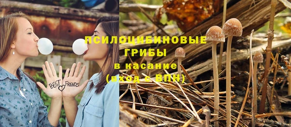 соль курить ск Зарайск