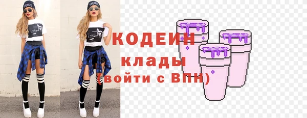 крисы Краснослободск
