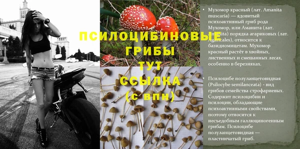 мяу мяу мука Вяземский