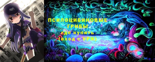 мяу мяу мука Вязьма