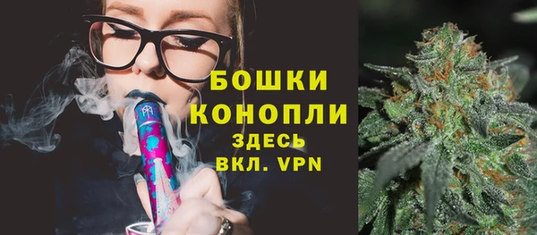 крисы Краснослободск