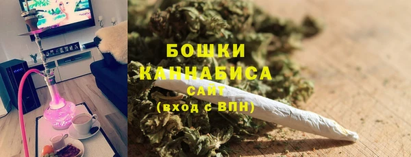 прущие грибы Красноперекопск