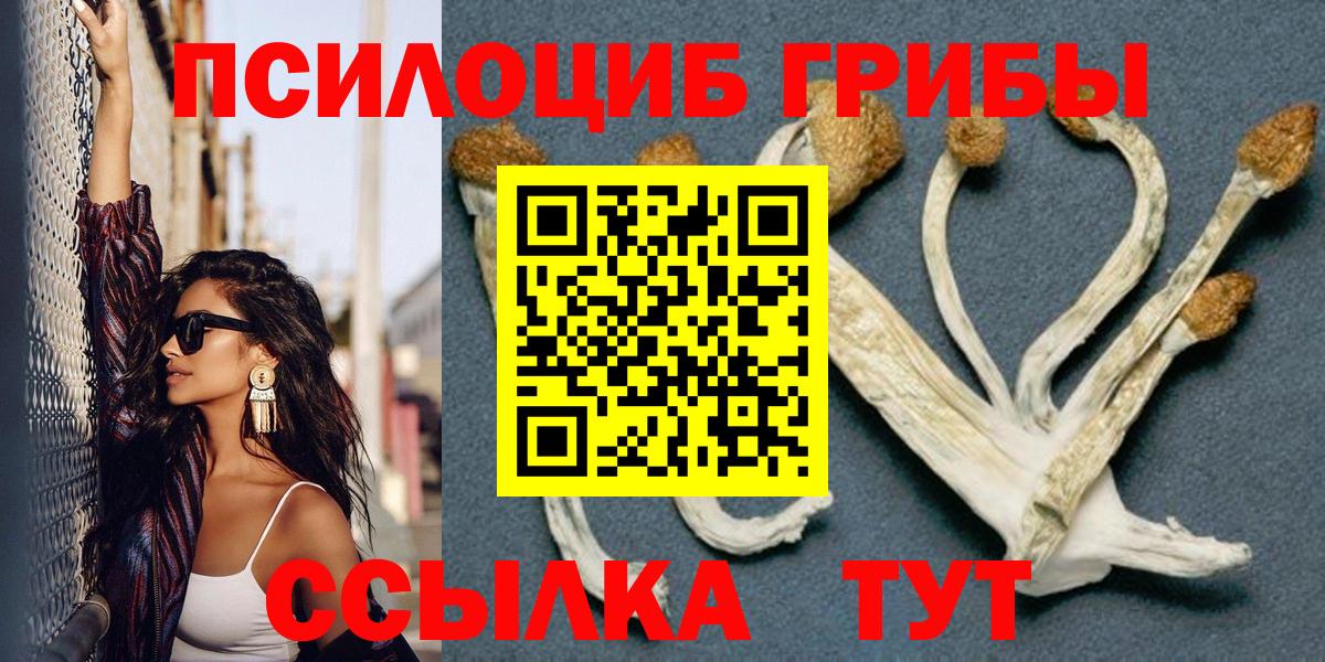 Галлюциногенные грибы мухоморы Медногорск