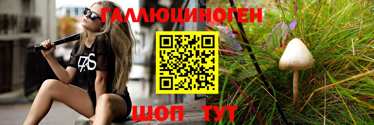 Медногорск  Галлюциногенные грибы MAGIC MUSHROOMS  Вход с VPN 
