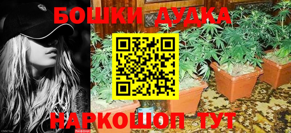 Конопля гибрид  Канабис VHQ  Бошки Шишки THC 21%  Медногорск 